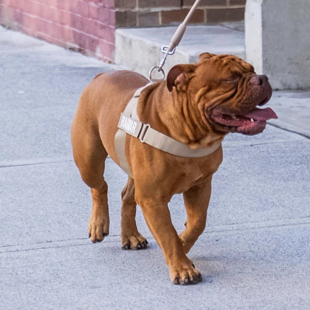 Kit Essenziale Passeggiata