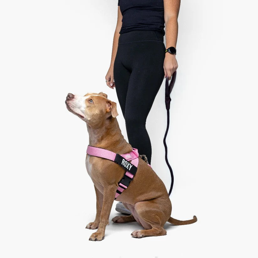 Kit Essenziale Passeggiata