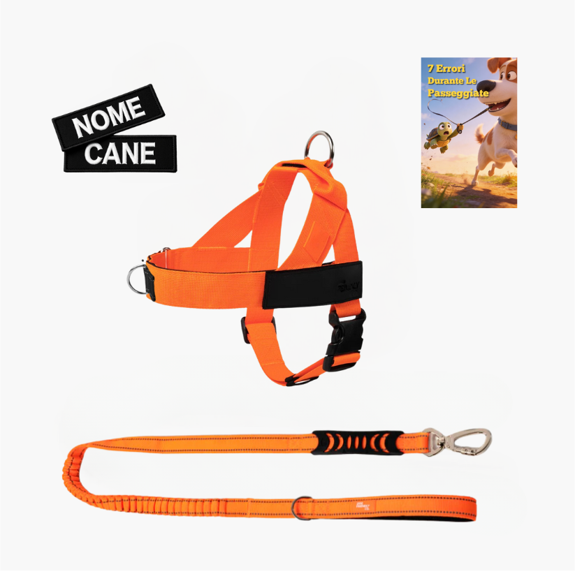 Kit Essenziale Passeggiata