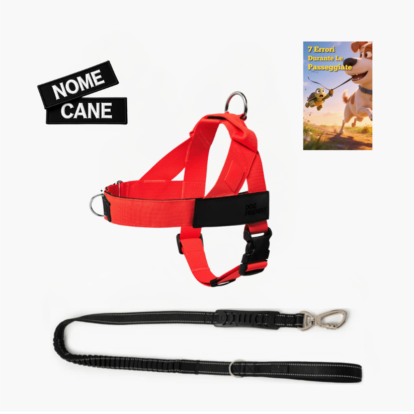 Kit Essenziale Passeggiata