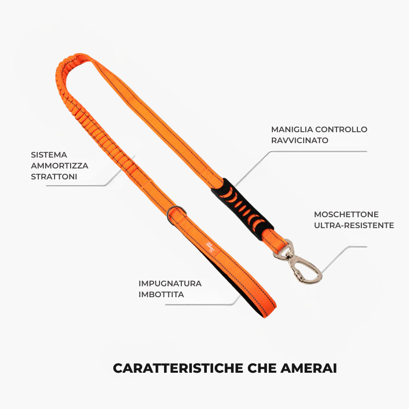 Kit Essenziale Passeggiata