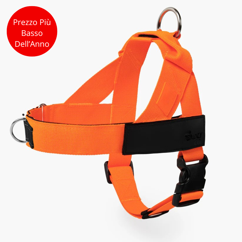 Pettorina Anti-Tiro_