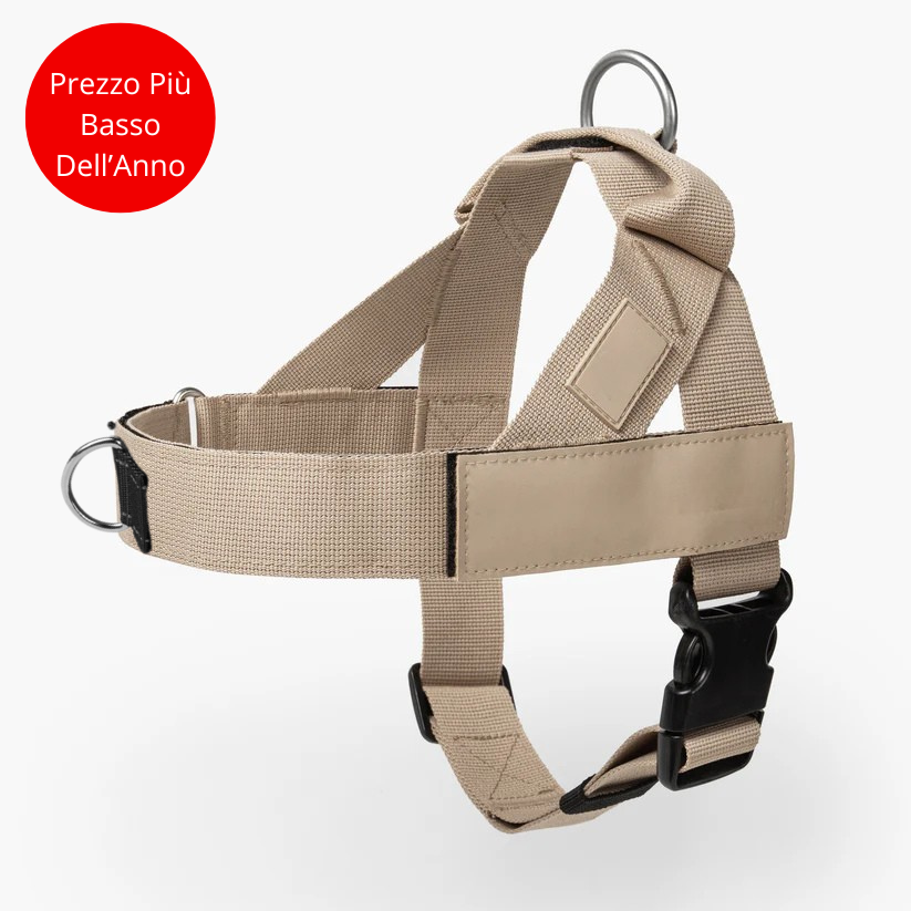 Pettorina Anti-Tiro_