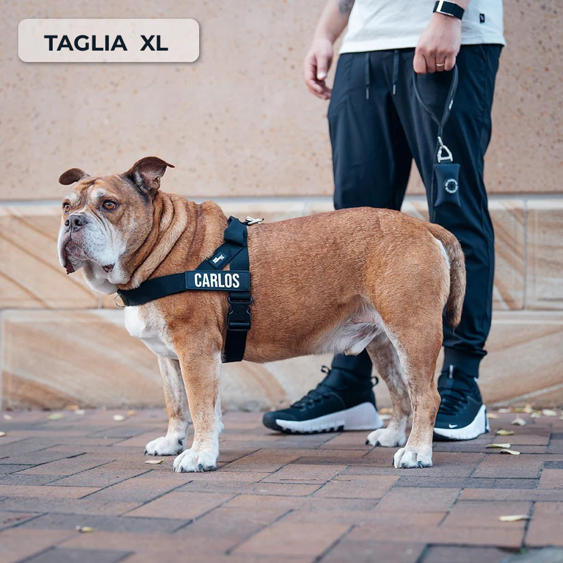 Kit Essenziale Passeggiata