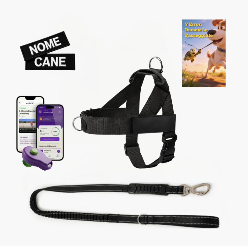 Kit Essenziale Passeggiata
