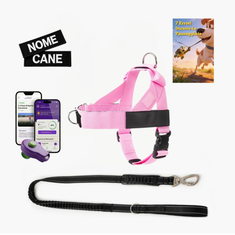 Kit Passeggiata Serena