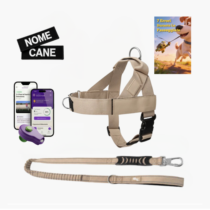 Kit Essenziale Passeggiata