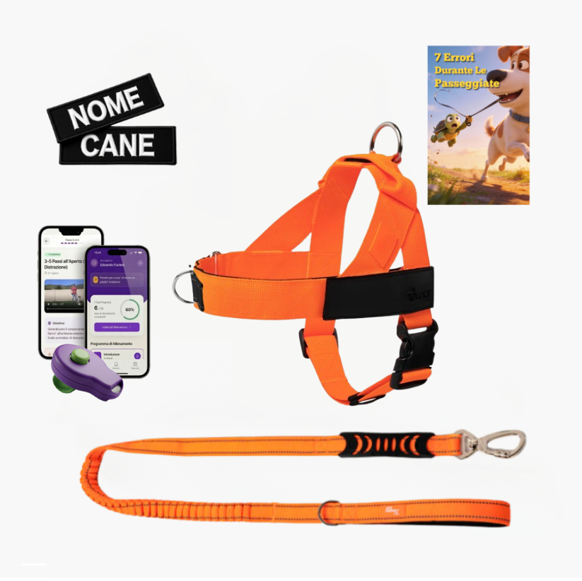 Kit Essenziale Passeggiata