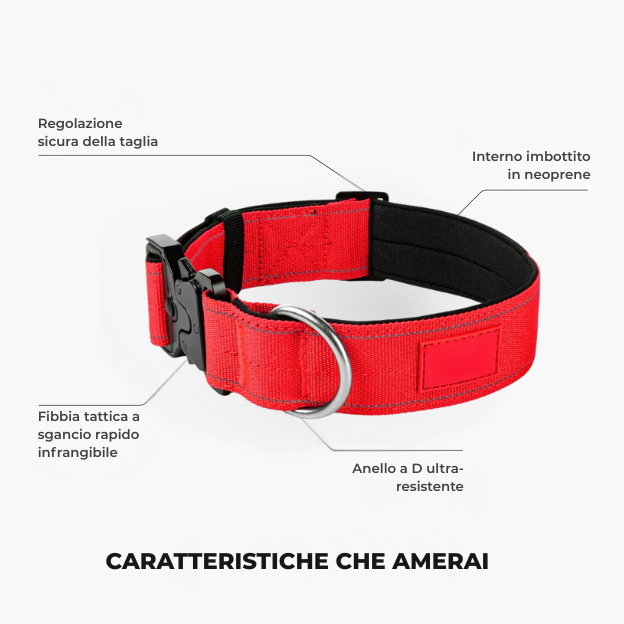 Kit Amante Dei Cani