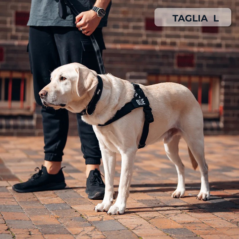 Kit Essenziale Passeggiata