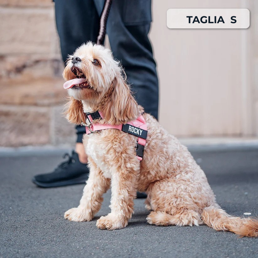 Kit Essenziale Passeggiata