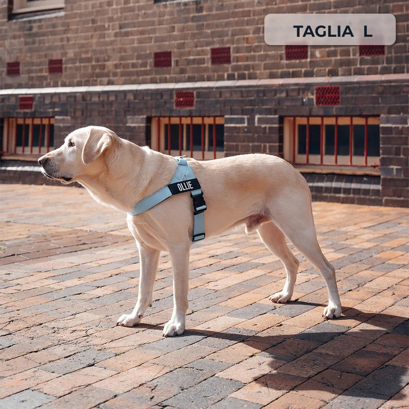 Kit Essenziale Passeggiata