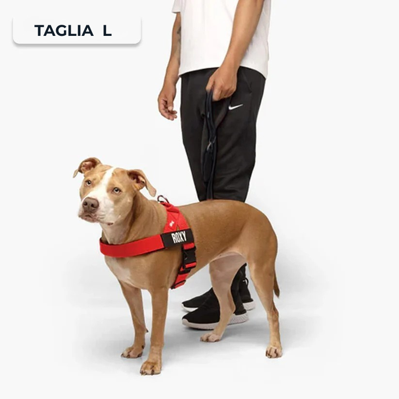 Kit Essenziale Passeggiata