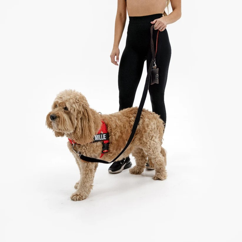 Kit Essenziale Passeggiata