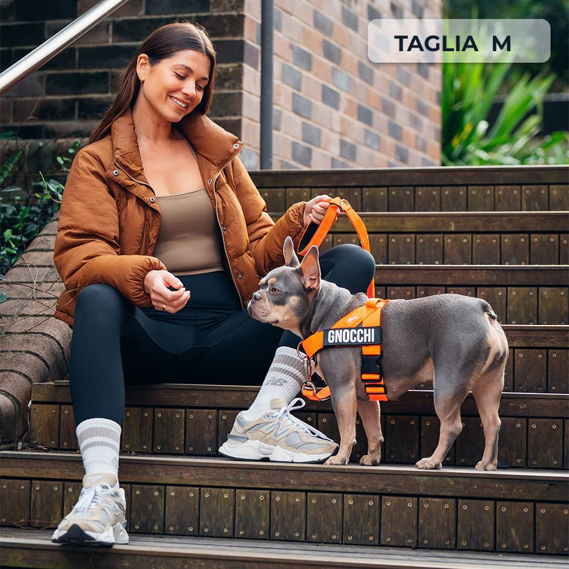 Kit Essenziale Passeggiata