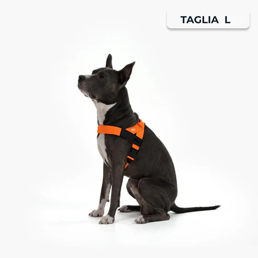 Kit Essenziale Passeggiata