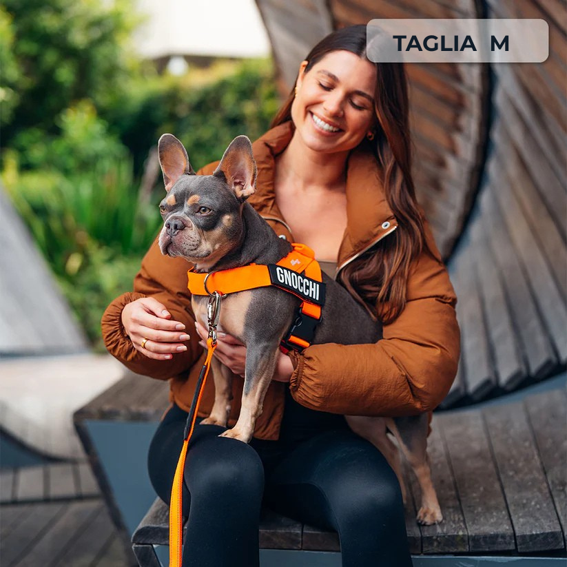 Kit Essenziale Passeggiata