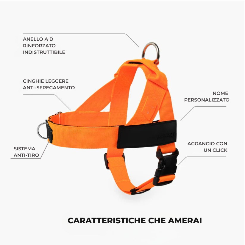 Kit Essenziale Passeggiata