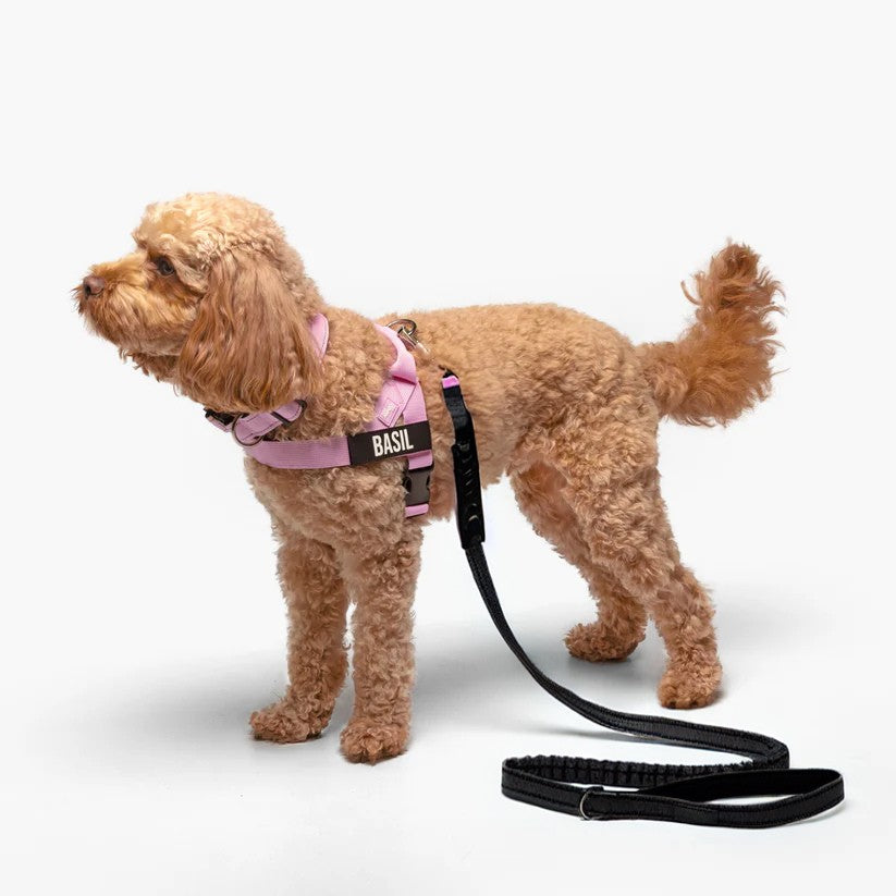 Kit Essenziale Passeggiata