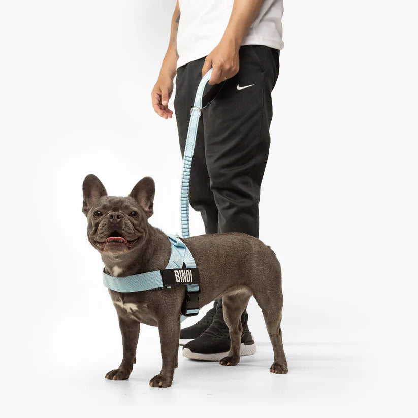 Kit Essenziale Passeggiata